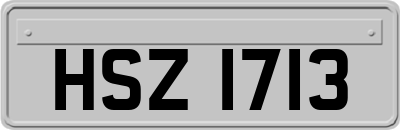 HSZ1713