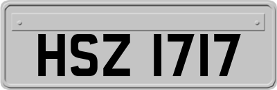 HSZ1717