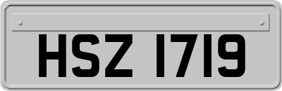 HSZ1719