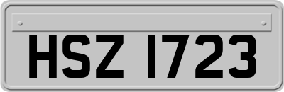 HSZ1723