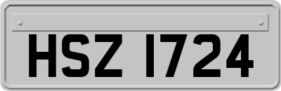 HSZ1724