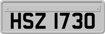 HSZ1730