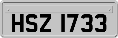 HSZ1733