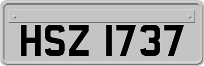 HSZ1737