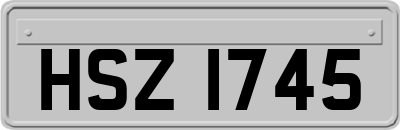 HSZ1745