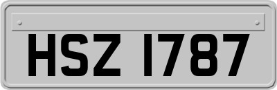 HSZ1787
