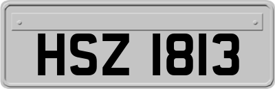 HSZ1813