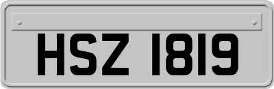HSZ1819