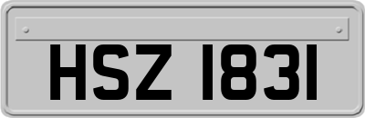 HSZ1831