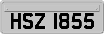 HSZ1855