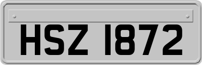 HSZ1872