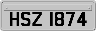HSZ1874