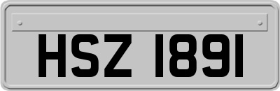 HSZ1891