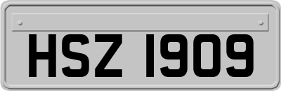 HSZ1909