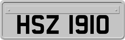 HSZ1910