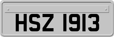 HSZ1913