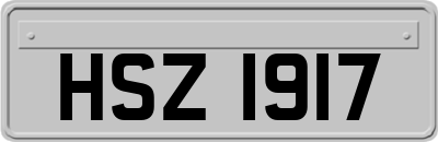 HSZ1917