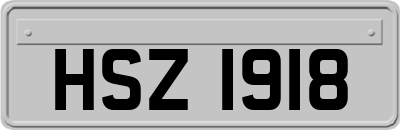 HSZ1918