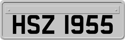 HSZ1955