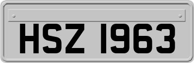 HSZ1963