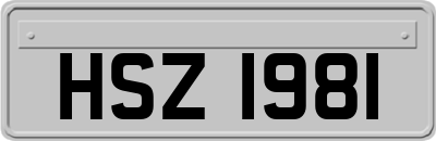 HSZ1981
