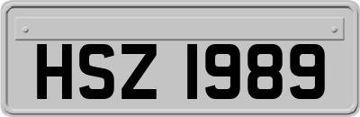 HSZ1989