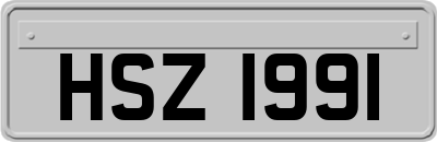 HSZ1991