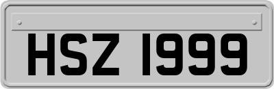 HSZ1999