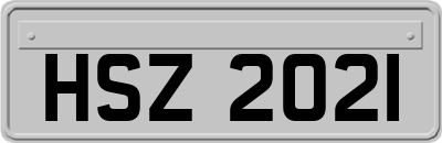 HSZ2021