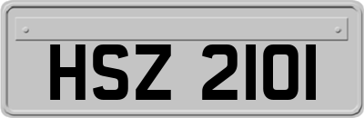 HSZ2101