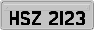 HSZ2123