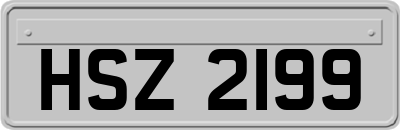 HSZ2199