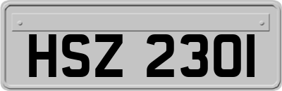 HSZ2301