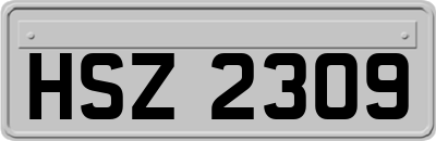 HSZ2309