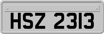 HSZ2313