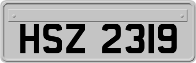 HSZ2319