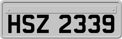 HSZ2339