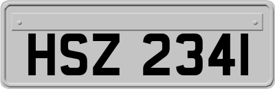 HSZ2341