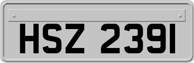 HSZ2391