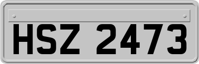 HSZ2473