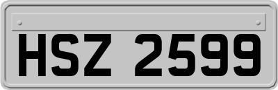 HSZ2599