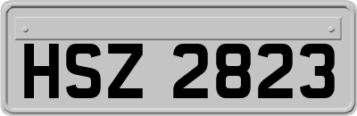 HSZ2823