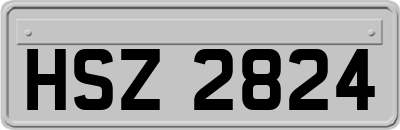 HSZ2824