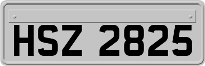 HSZ2825
