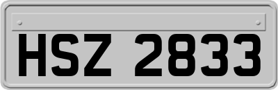 HSZ2833
