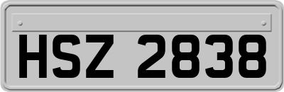 HSZ2838