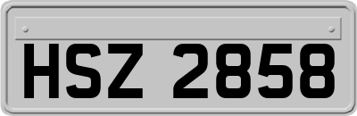 HSZ2858