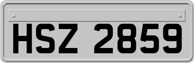 HSZ2859