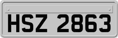 HSZ2863