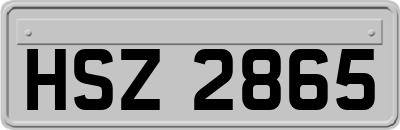 HSZ2865